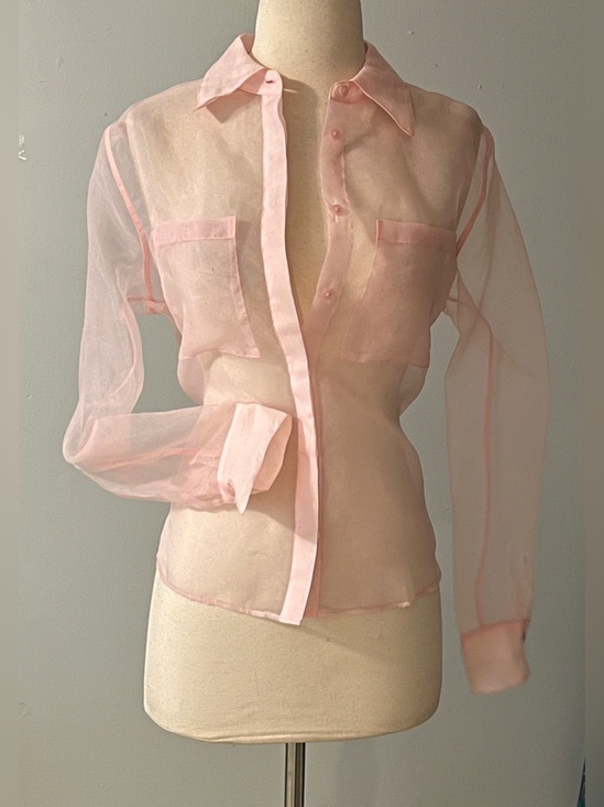 Rachel Zoe Tops - Rachel Zoe Sheer Pink Organza Button Front Blouse Size Small